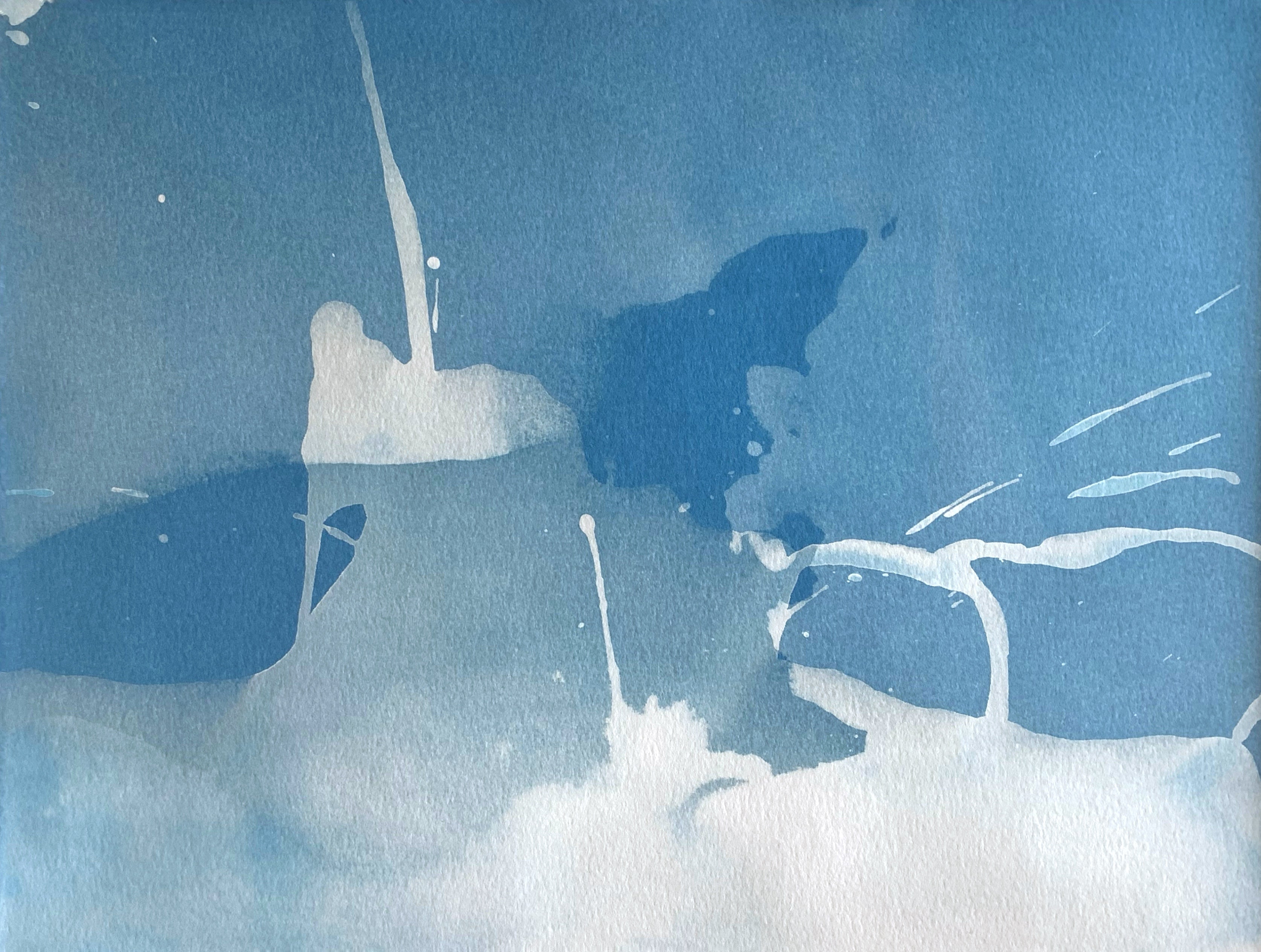 Aloha Kai Winter Swell