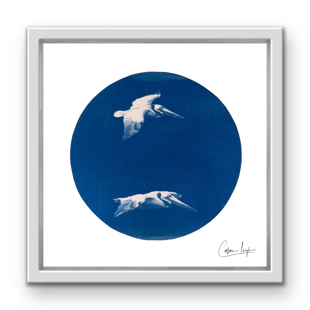 Pelican Duo - Telescope