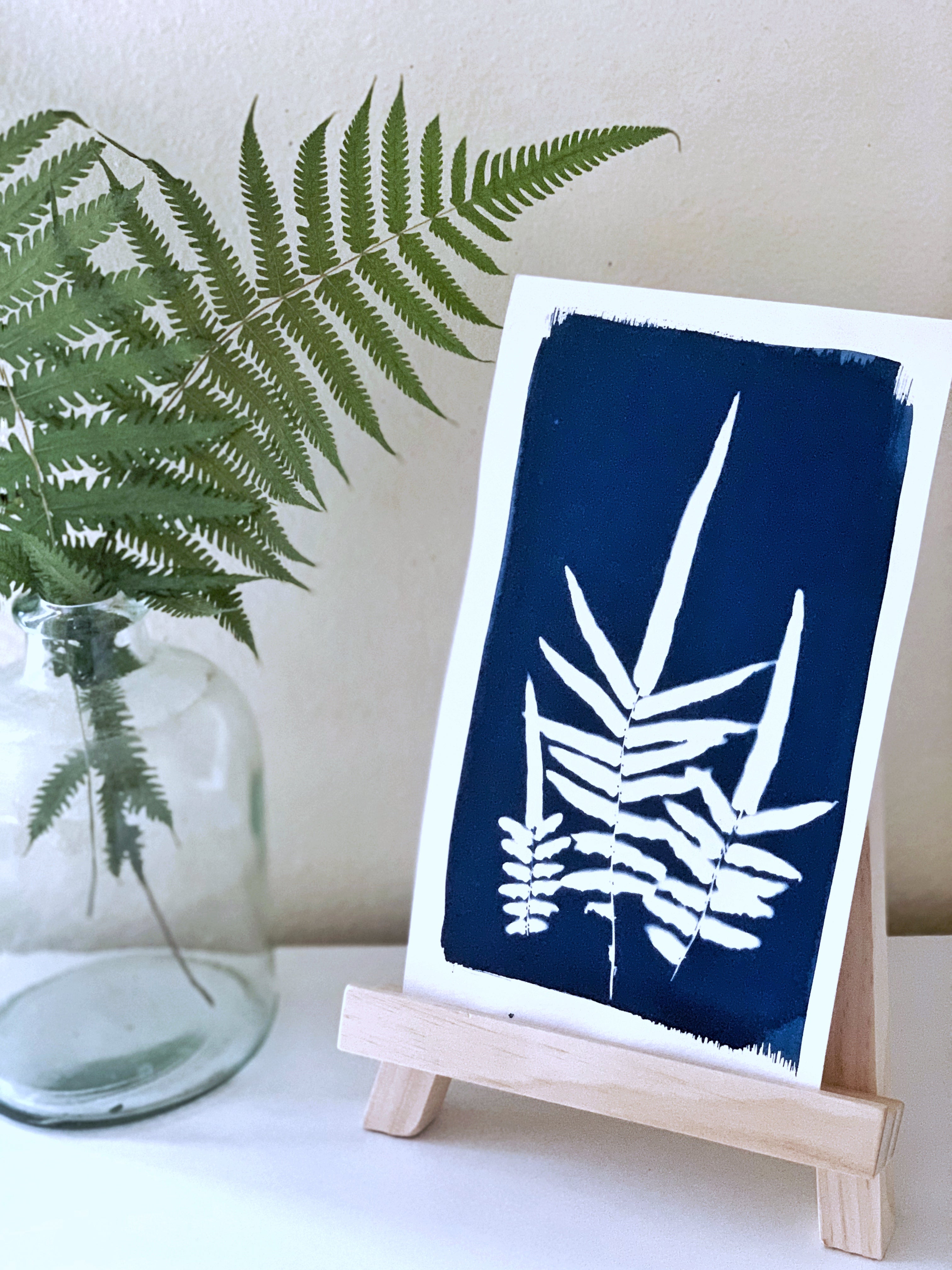 Sword Fern Trio