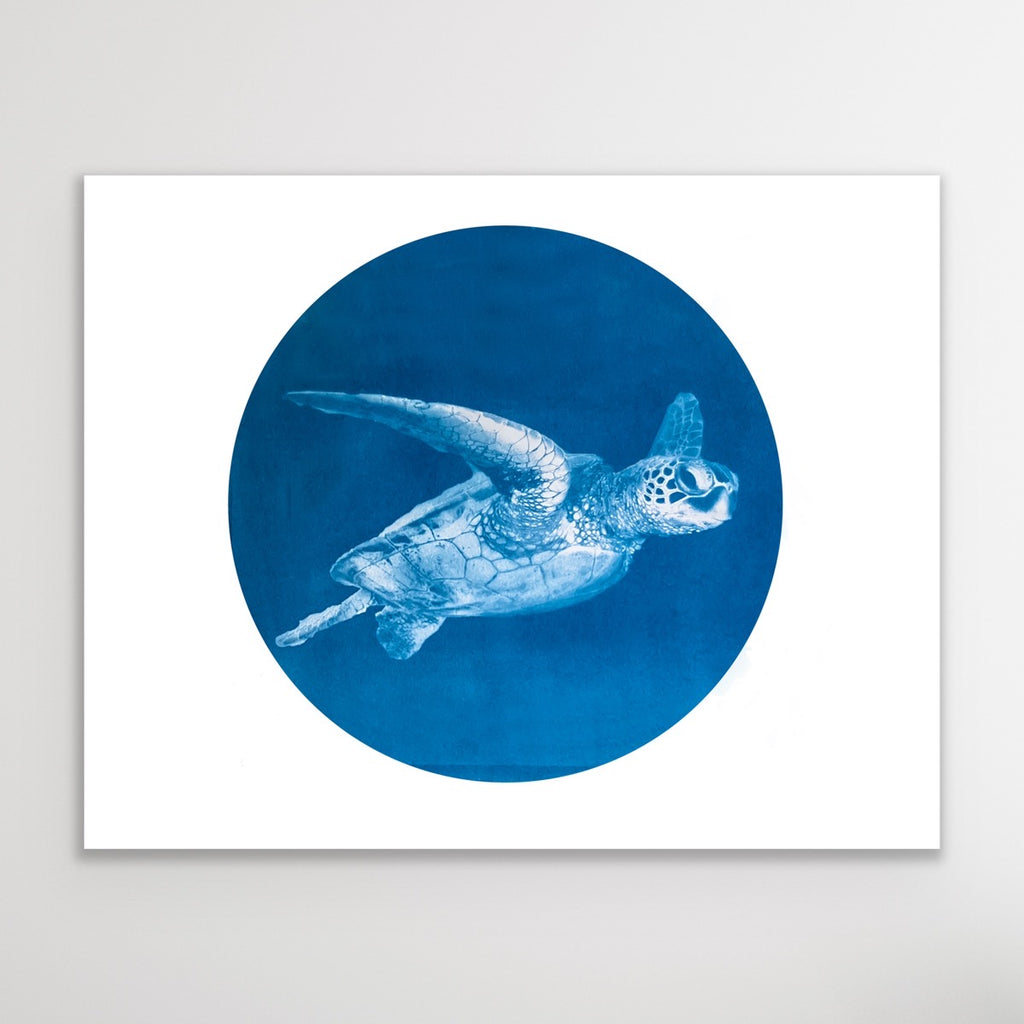 Blue Honu - Telescope