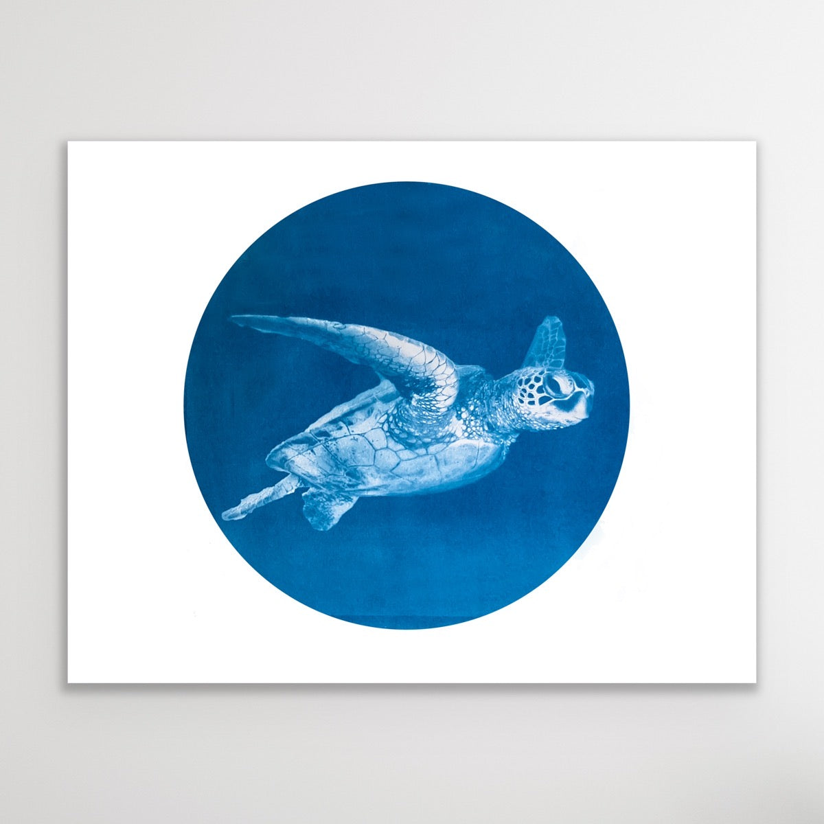 Blue Honu - Telescope