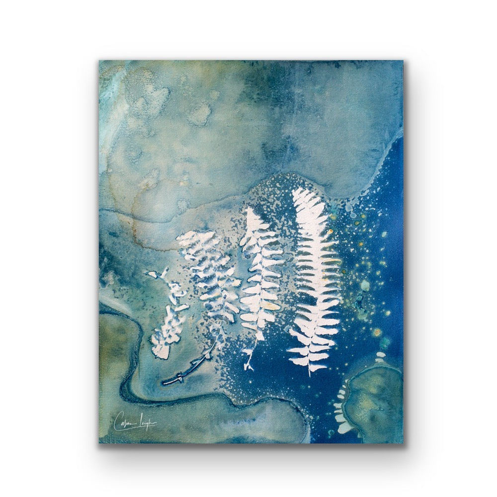Fern Ohana