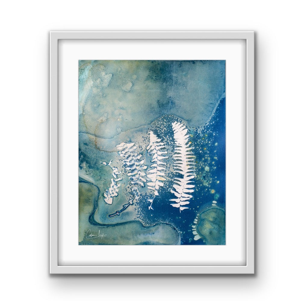 Fern Ohana