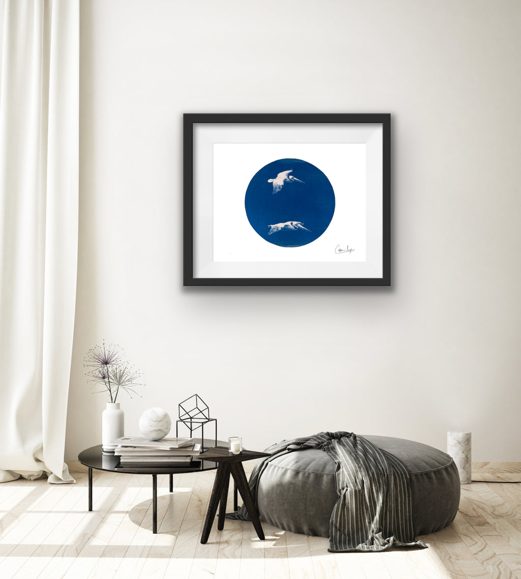 Pelican Duo - Telescope