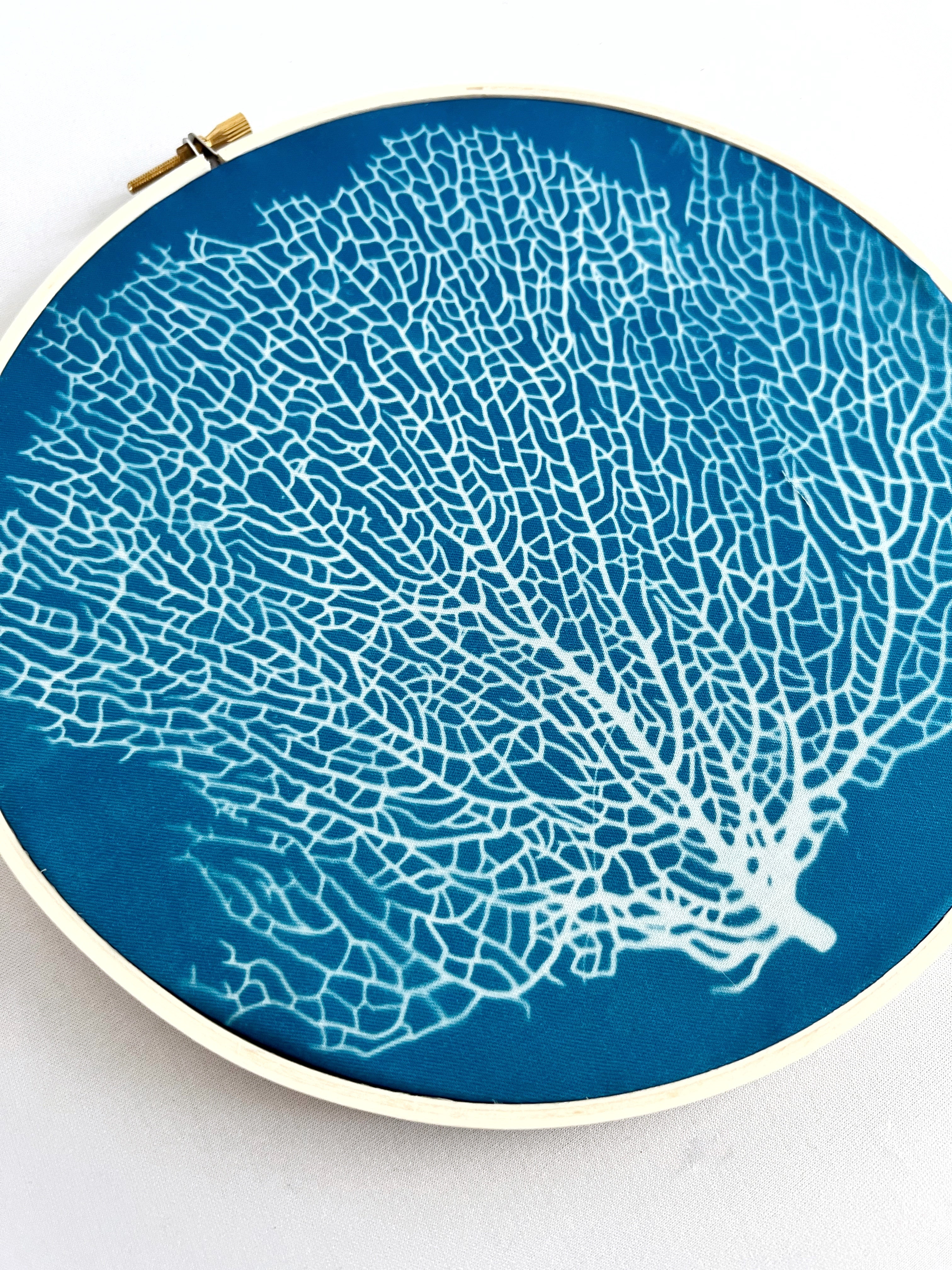Sea Fan Hoop