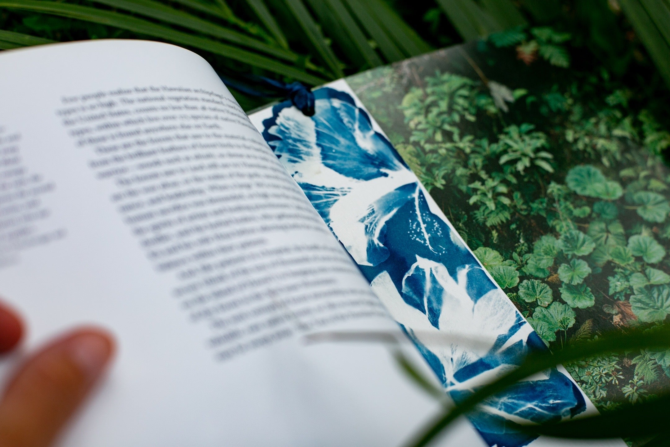 Flora Fauna Bookmarks