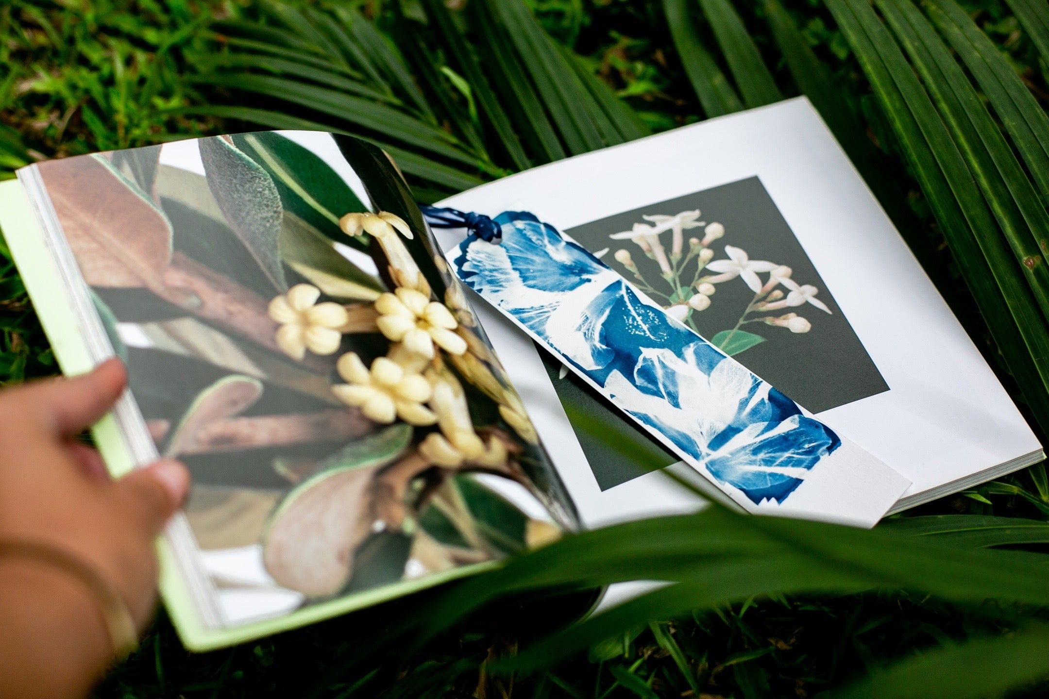 Flora Fauna Bookmarks