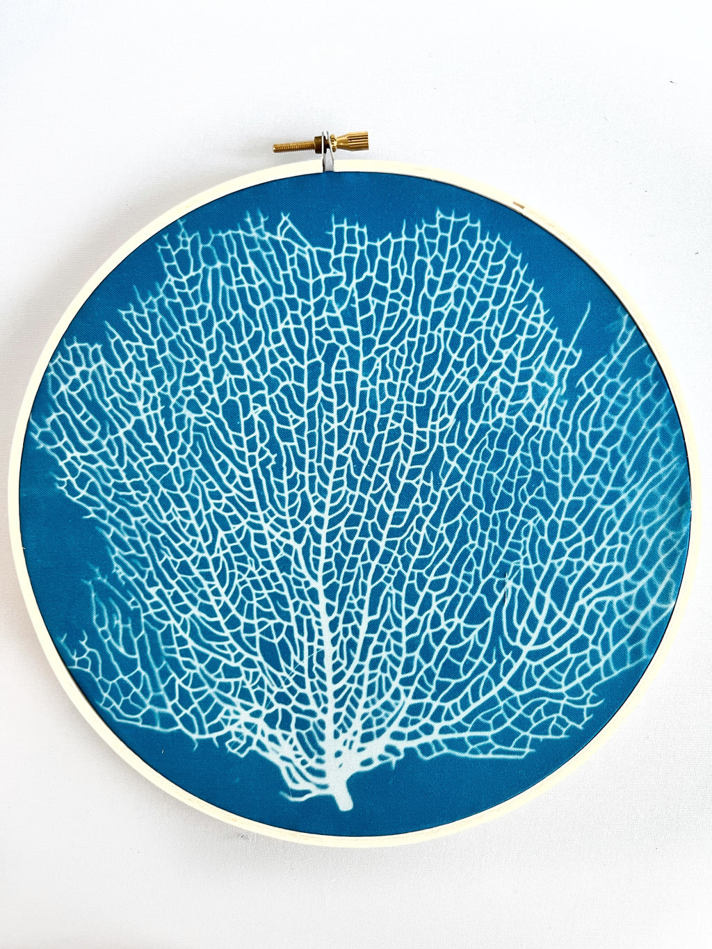 Sea Fan Hoop
