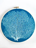 Sea Fan Hoop