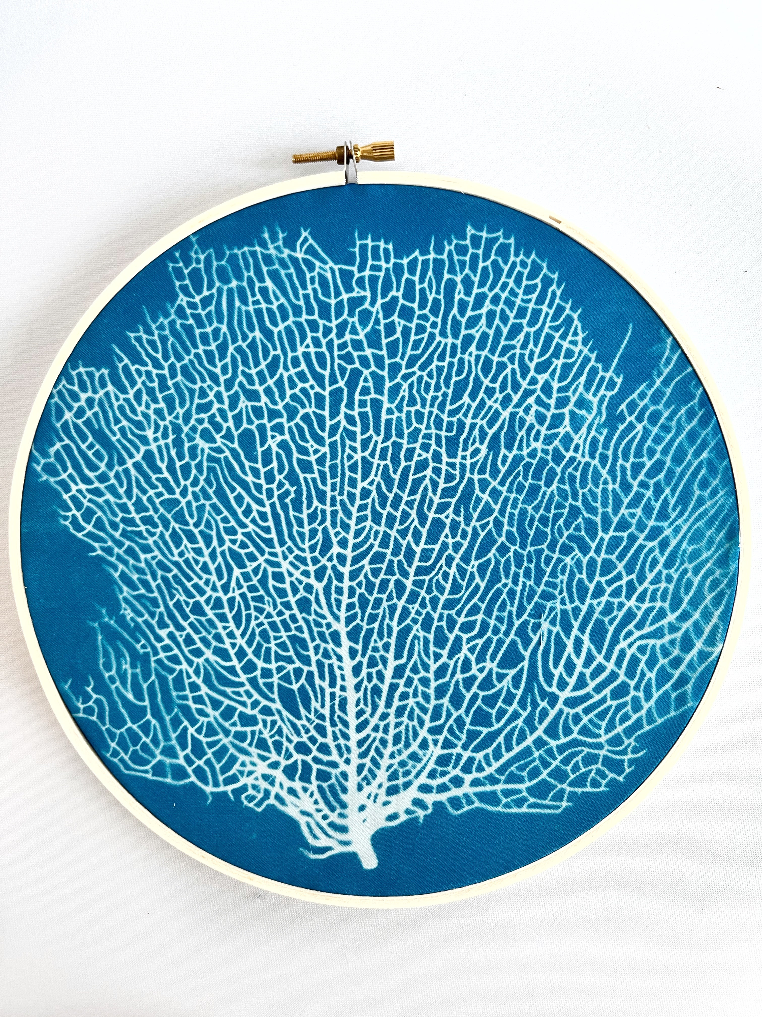 Sea Fan Hoop