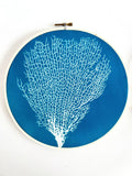 Sea Fan Hoop #2