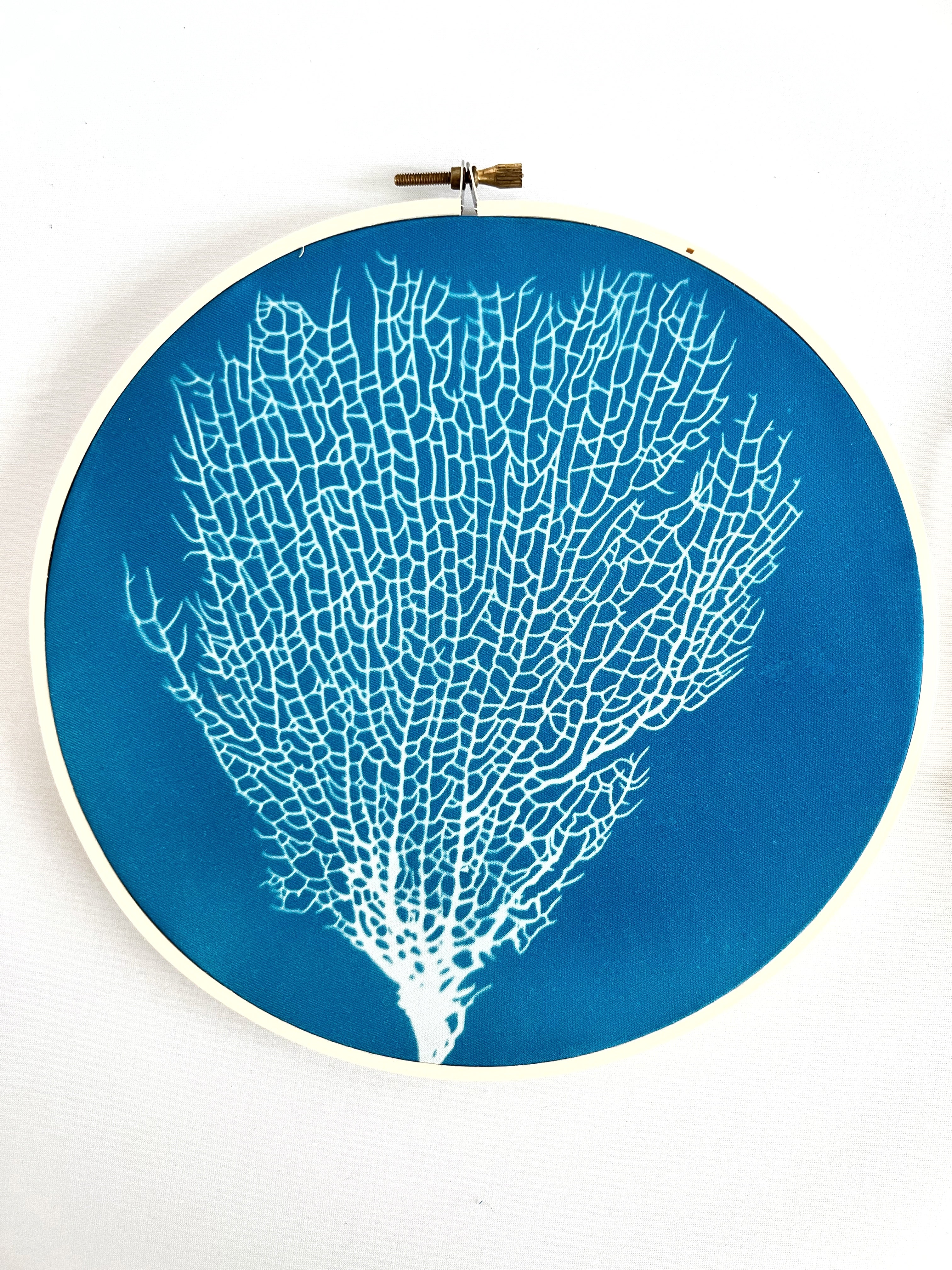 Sea Fan Hoop #2